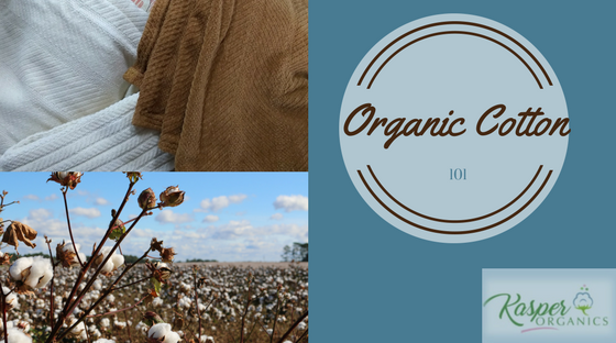 Organic Cotton 101 from Kasper Organics